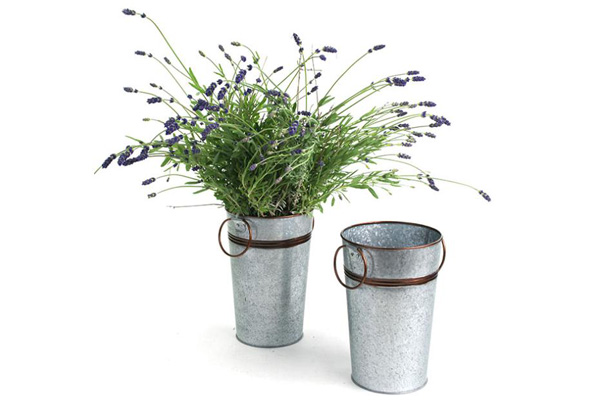 Tin Flower Bucket