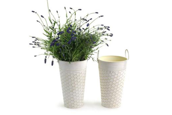 Antique White French Bucket