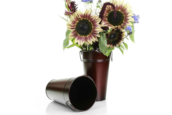 Burgandy French Bucket