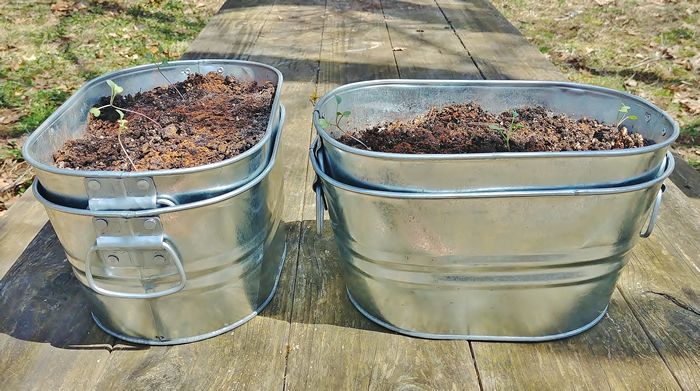 small rustic galvanized containers