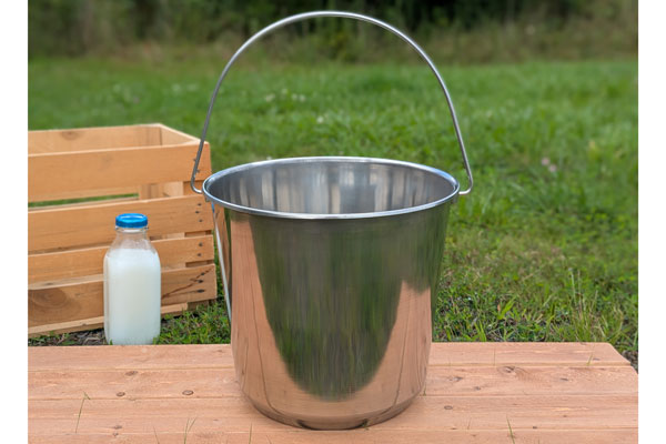 Large Stainless Steel Bucket