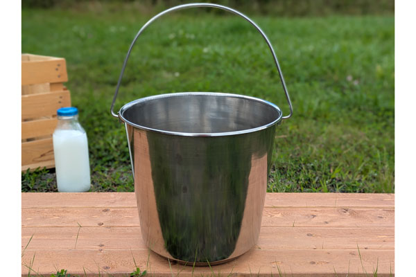 Stainless Steel Pail With Handle