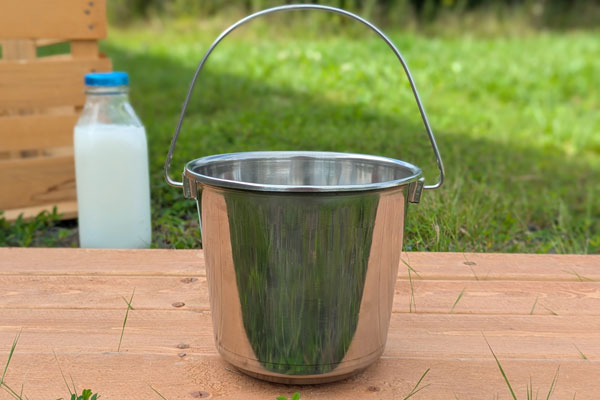Stainless Steel Small Bucket