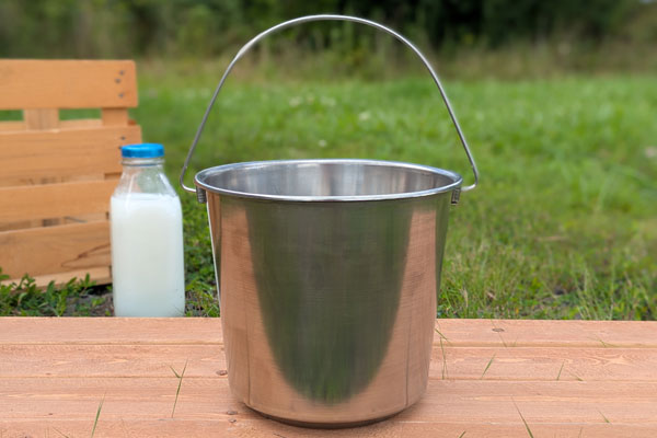 Stainless Steel Water Bucket